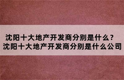 沈阳十大地产开发商分别是什么？ 沈阳十大地产开发商分别是什么公司